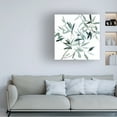 thumbnail image 3 of Emma Scarvey 'Serene Eucalyptus II' Canvas Art, 3 of 3