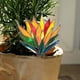 thumbnail image 5 of Adorno decorativo acrílico para plantas | Estaca decorativa transparente para macetas | Accesorio para macetas de jardín | Soporte decorativo para plantas de interior, 5 of 9