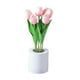 thumbnail image 1 of Luz de noche Salvador Decoración moderna Lámpara de mesa de noche Lámpara de escritorio LED Rosa, 1 of 10