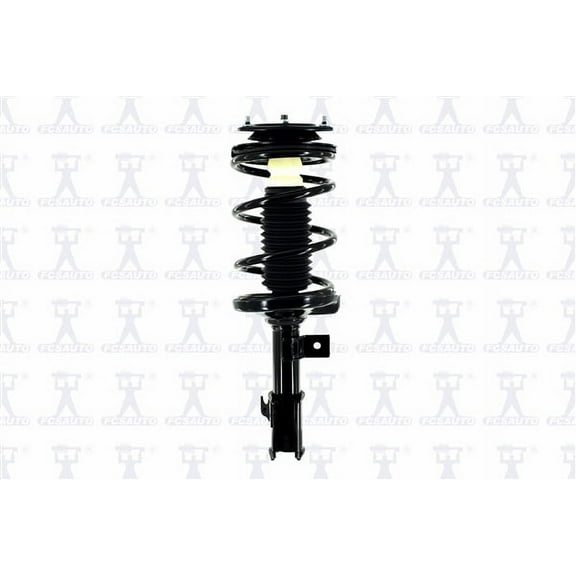 Suspension Strut and Coil Spring Assembly