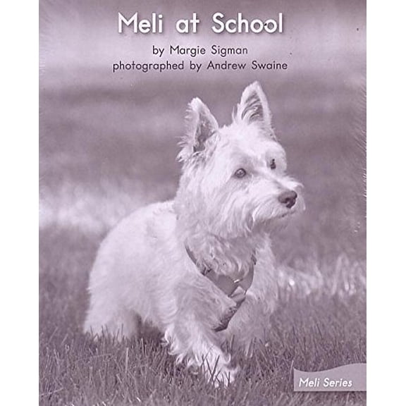 Pre-Owned MELI AT SCHOOL (My Take-Home Book: Blue System, Book 41, Level G) 6 PAK (Paperback) 0325020140 9780325020143
