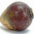 thumbnail image 3 of Rutabaga American Purple Top Great Heirloom Vegetable 4,000 Seeds, 3 of 4
