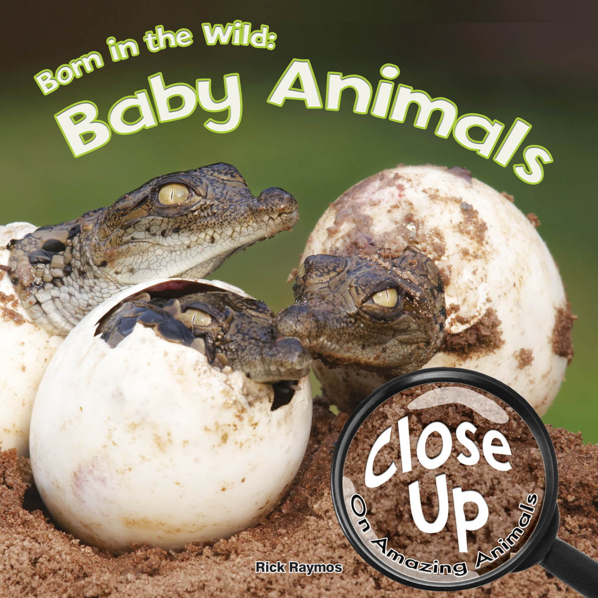 Close-Up on Amazing Animals: Born in the Wild : Baby Animals (Hardcover) -  