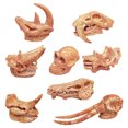 thumbnail image 2 of Ancient Animals Skeleton Model Skull Educational Toys Bones Decor, 2 of 6
