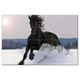 thumbnail image 1 of Horse Picture Ceramic Tile Mural Kitchen Backsplash Bathroom Shower, 405306-L64, 1 of 3