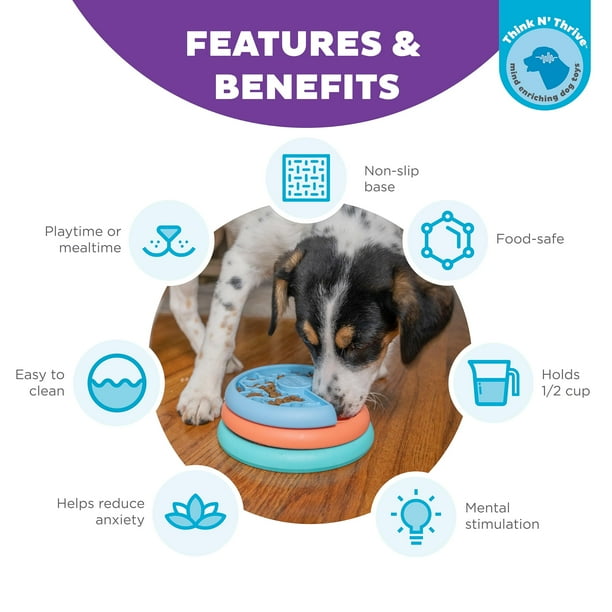 Juego interactivo de rompecabezas para perros y alimentador lento