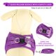 thumbnail image 2 of Set de arnés y correa para perros YIMEIS Reflective Purple XS, 2 of 6