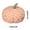 🥝 Orange_Hot#660, variant on Pumpkin Pillow Plush Decor • Wool Filling Pumpkin Cushion • Soft 3D Pumpkin Shape Floor Mat • Cozy Fall Home Decoration • Cute Halloween Gift Decor