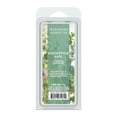 thumbnail image 1 of Cubos de Cera Scentworx HS Homeworx Eucalyptus Sage 10 cubos, 1 of 4