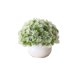 thumbnail image 1 of Mini planta de césped artificial decorativa con maceta blanca, plantas falsas for decoración del hogar, plantas artificiales en maceta, 1 of 3