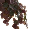 thumbnail image 3 of Nearly Natural 34" Peperomia Real Touch Artificial Plant in Hanging Basket, Red, 3 of 4