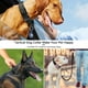 thumbnail image 4 of Juego de collares para perros DAGANXI Tactical Nylon para perros de tamaño mediano/grande, 4 of 6