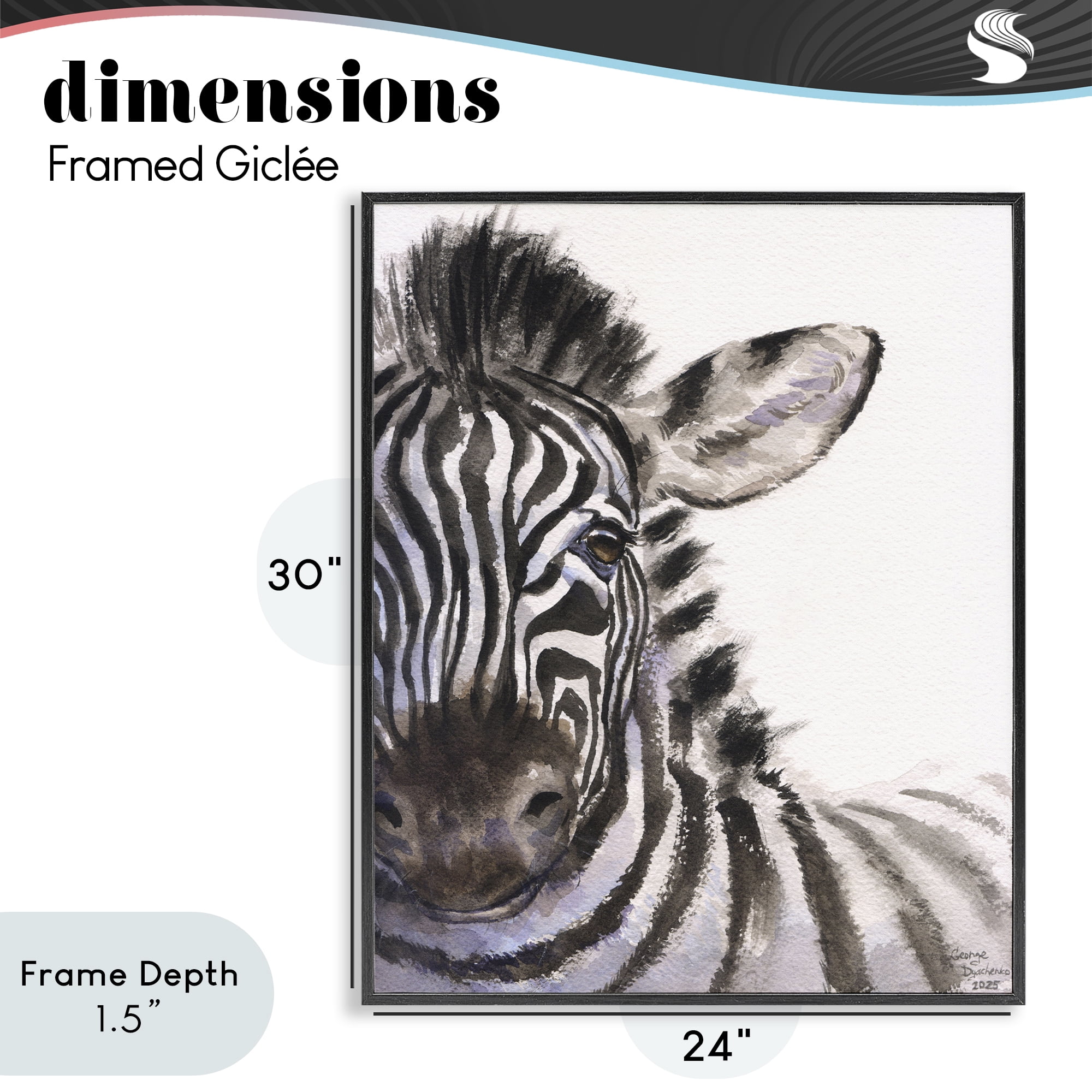 Stupell Industries Zebra Portrait on White Black Framed Giclee Art, design by George Dyachenko