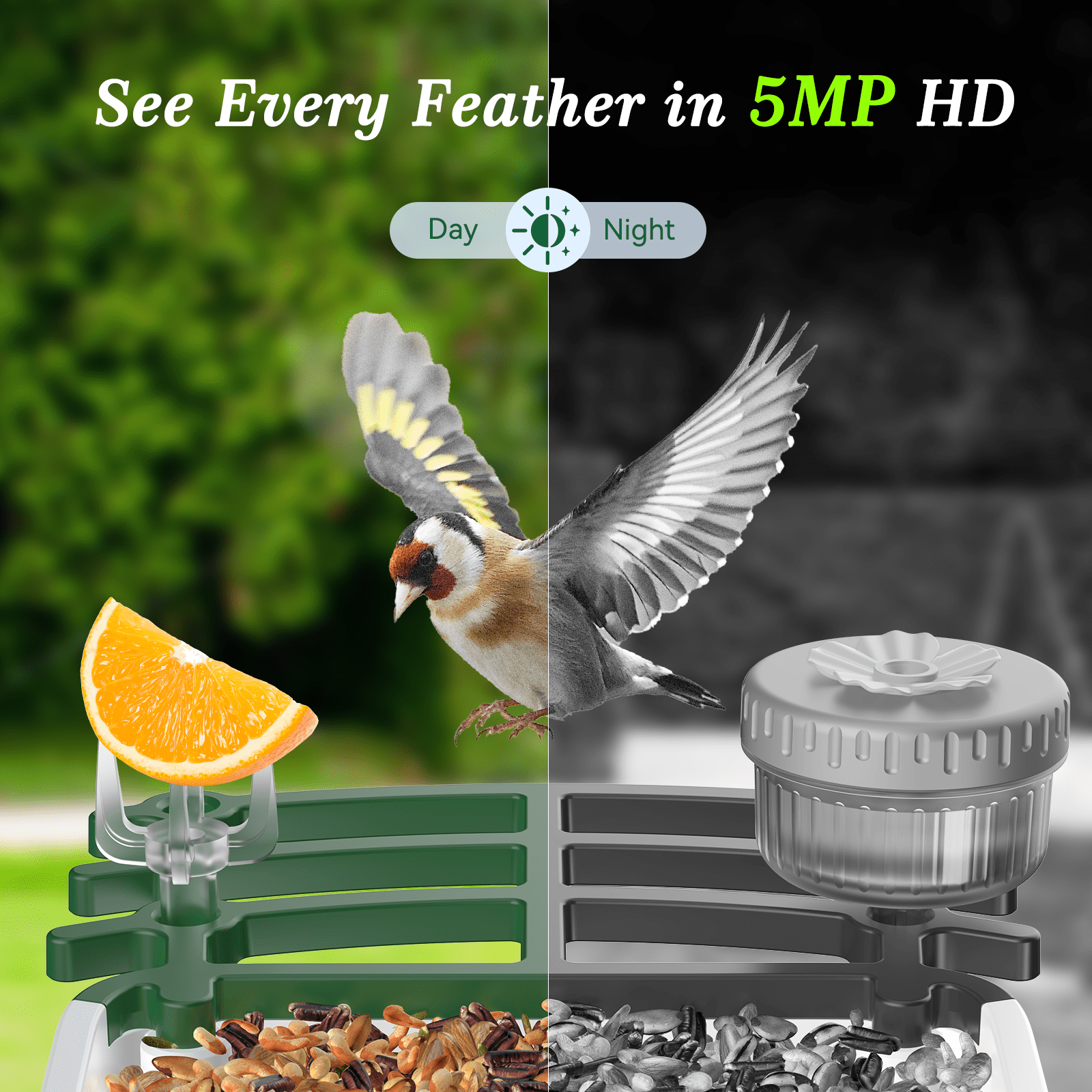 Conico Smart Bird Feeder with Camera, 5MP HD AI Bird Recognition, Solar Powered WiFi Outdoor Bird Feeder, Squirrel Proof, Father’s Day Gifts for Dad Grandpa, Bird Watching Gifts