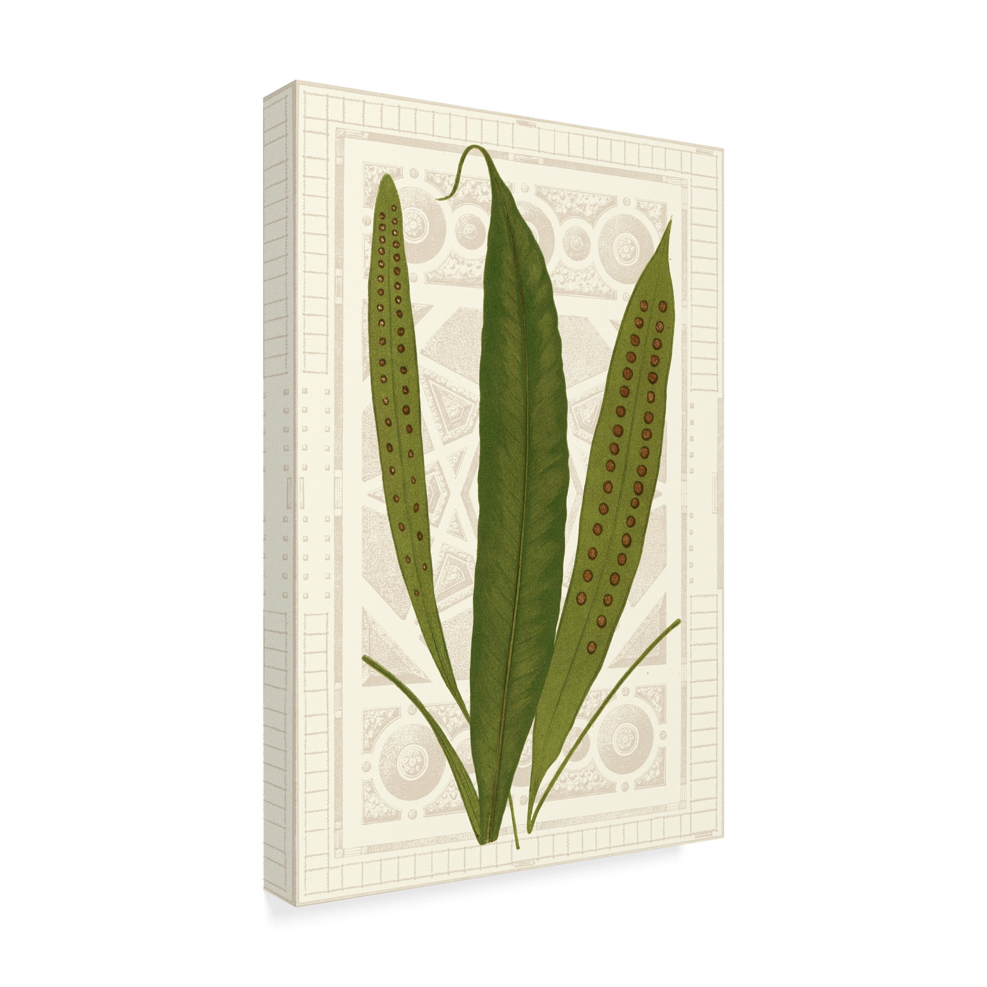 Trademark Fine Art 'Garden Ferns VI' Canvas Art by Vision Studio