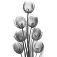 thumbnail image 2 of Koetsier, Albert 25x32 Black Ornate Wood Framed with Double Matting Museum Art Print Titled - Tulips H26, 2 of 4
