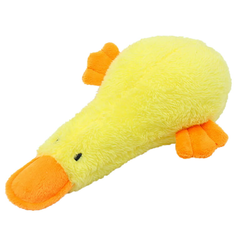 Squeaky Duck Dog Toy: Cute Stuffed Dog Chew Toys with a Large Durable  Rubber Squeaker, Dog Toy for Aggressive Chewers, Large, Medium Small Dogs,  Plush Crinkle Pet Supplies for Doredom and Stimulating