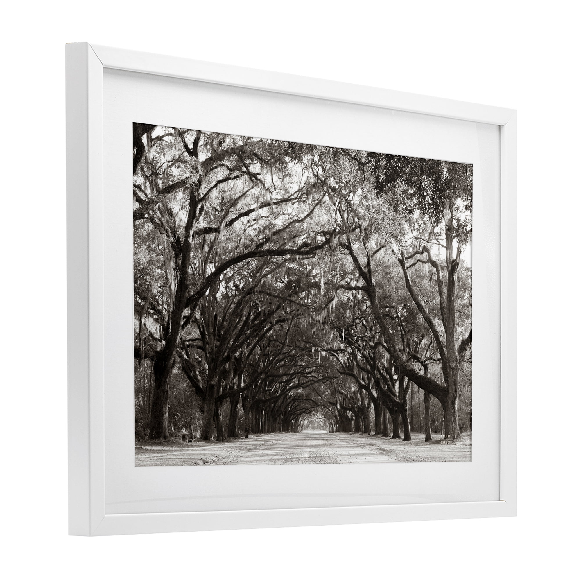 Stupell Industries Georgia Stroll Tree Tunnel White Framed Print Under Glass, design by Nathan Larson