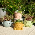 thumbnail image 4 of Cute Face Planter Pot, Small Resin Head Planters for Indoor Plants, Funny Smiling Face Flower Pot Succulent Planter with Drainage Hole, Gift IdeaI for Birthday Christmas (Pink), 4 of 15