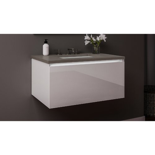 Robern Curated Cartesian 24'' WallMounted Single Bathroom Vanity Set