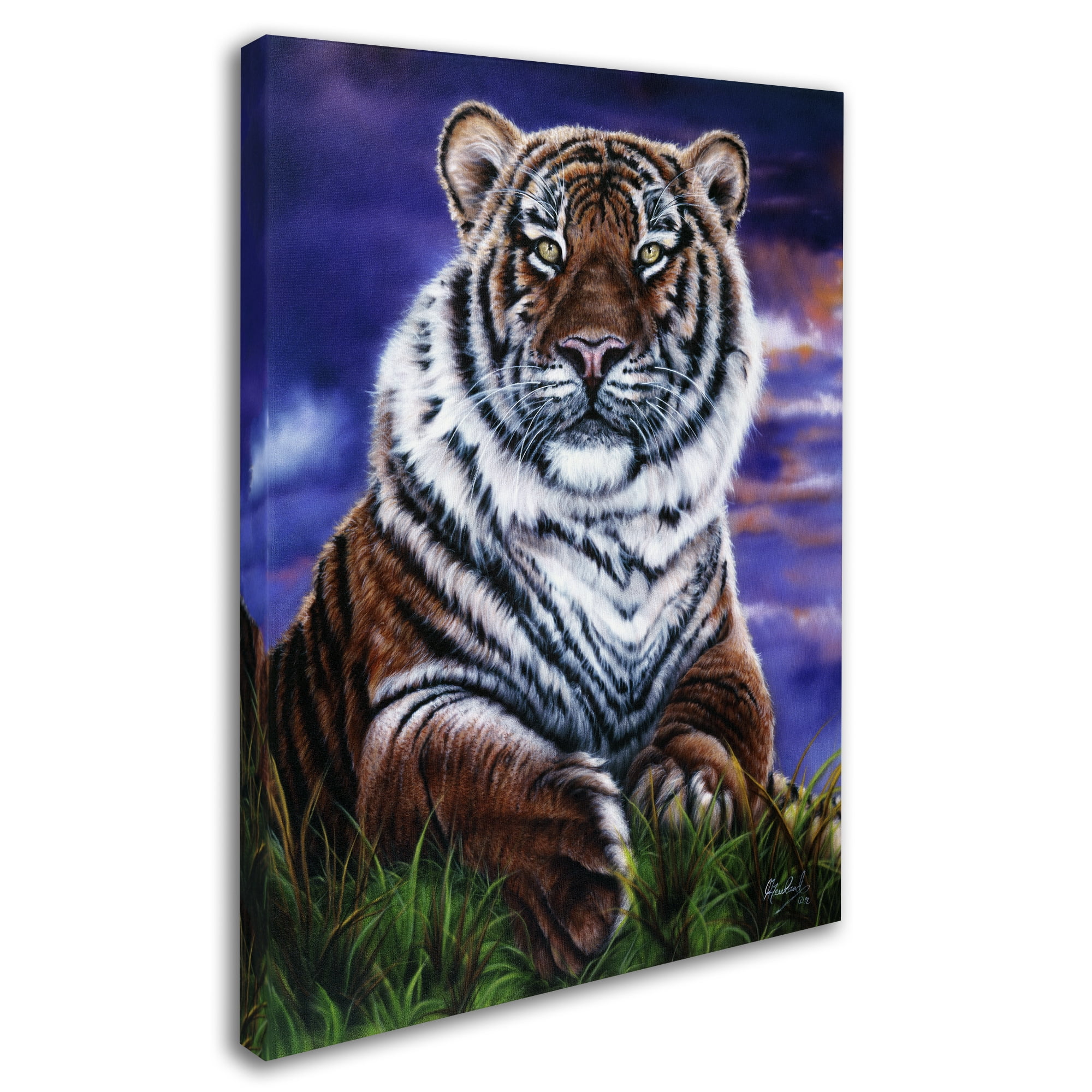 Trademark Fine Art 'Arizona Tiger' Canvas Art by Jenny Newland
