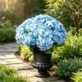 thumbnail image 3 of Artificial Outdoor Hydrangea Flowers 19 in Silk Floral Bouquet, UV Resistant Faux Plant Bush Spray Accent for Garden Patio Porch Home Table Centerpiece Decor, 3 of 6