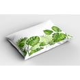 thumbnail image 2 of Ambesonne Leaf Pillow Sham 2 Pack, Foliage Swirls Botanic, 26"x20", Pale Green, 2 of 3