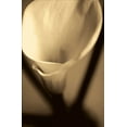 thumbnail image 2 of Ryan, Cinzia 22x32 White Modern Wood Framed Museum Art Print Titled - Divinity, 2 of 4