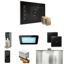 Mr Steam XDream Max Steam Shower Ctrl Pkg w/iSteamX Control and Steamhead in Black Brushed Bronze