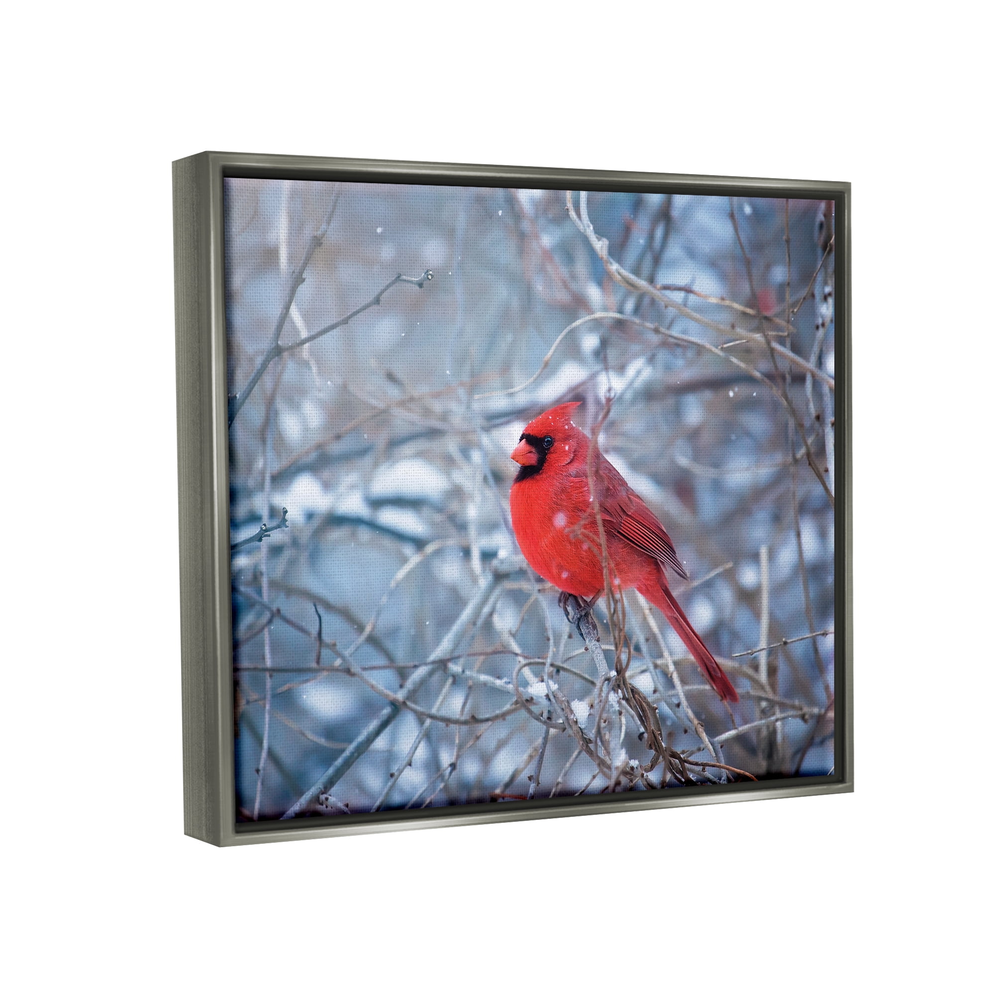 Stupell Industries Cardinal in Winter Branches Animals & Insects Photography Gray Floater Framed Art Print Wall Art, 31 x 25