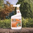 thumbnail image 2 of Bonide 814 Copper Fungicide, 1 Quart, 2 of 10