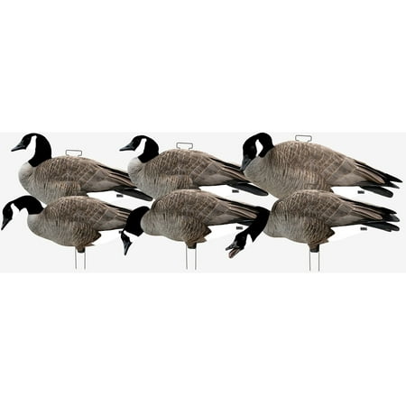 GHG Decoy Systems Pro Grade Canada Goose Silhouette Decoys with Flocked Heads - 12 Pack