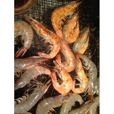 - LAMINATED POSTER Chronicles Shrimp Barbecues Poster Print 24 x 36