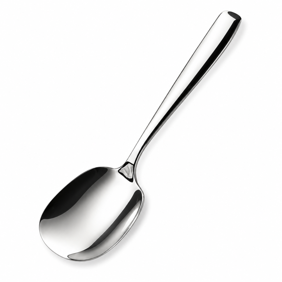 Large Serving Spoon, Premium 316L Stainless Steel Buffet Serving Spoon 9.5 Inch (1pack)