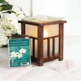 thumbnail image 4 of Cubes de cire parfumée ScentSationals - Eaux de plumeria, 4 of 4