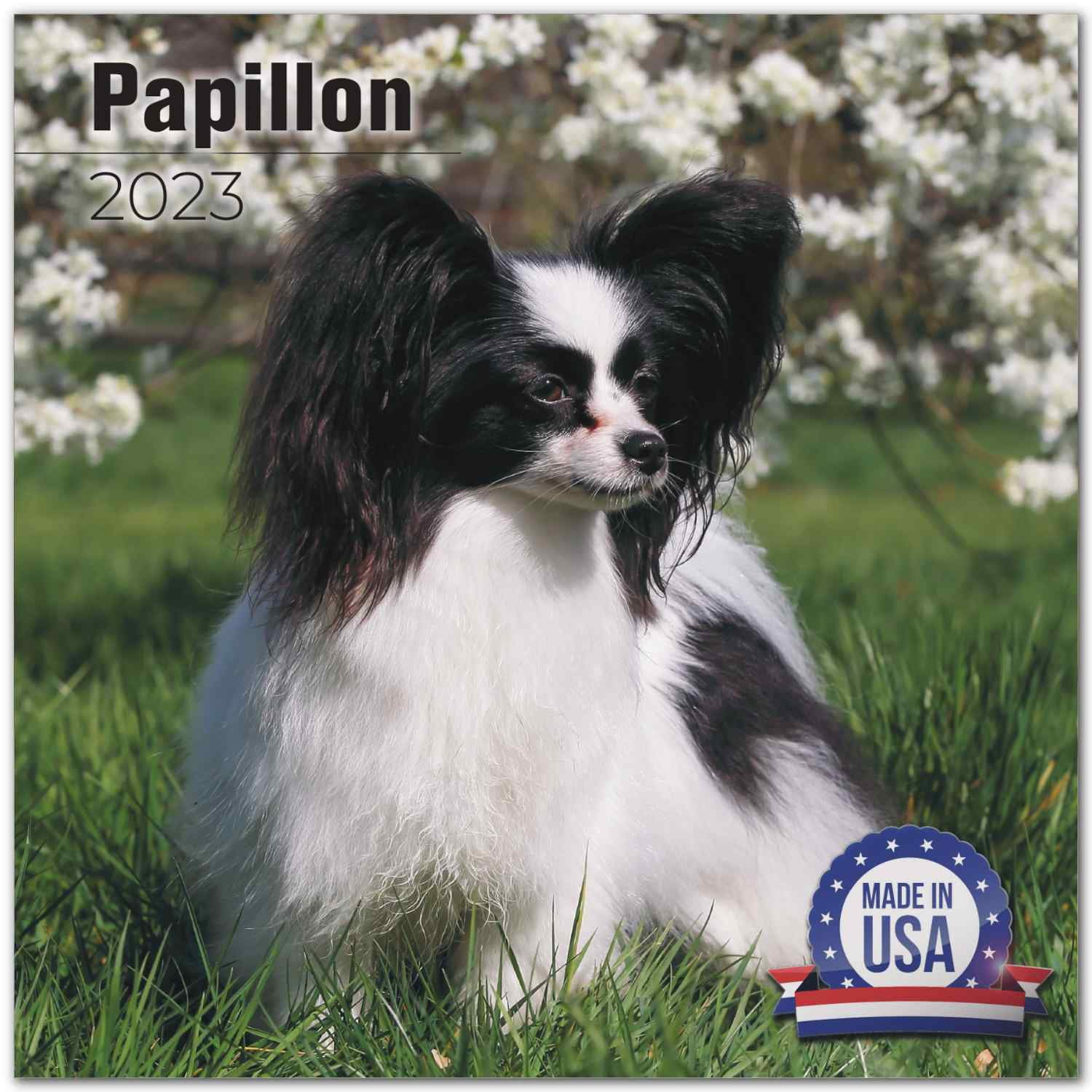 2022 2023 Papillon Calendar Dog Breed Monthly Wall Calendar 12 x 24