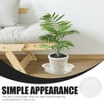 thumbnail image 3 of unbranded 10Ud Recolectora De Para Plantas En Transparente Y Resistente, 3 of 7