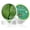 Green, variant on Vanelc 24K Gold Eye Mask, 30 Pairs Collagen Under Eye Patches, Eye Treatment Mask, Under Eye Bags Treatment, Under Eye Masks for Puffy Eyes, Anti-Aging,Anti-Wrinkle&Fine Lines, Under Eye Dark Circles