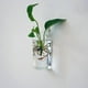 thumbnail image 4 of 2pcs Arte De De Cristal Florero Florero Terrario Contenedor Botella Colgante Planta De Bricolaje, 4 of 4