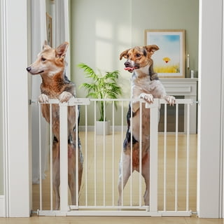 Dog Gate 45 Inches