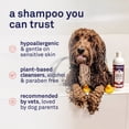 thumbnail image 4 of Petpost Oatmeal & Chamomile Shampoo for Dogs - Soothes Dry, Itchy, Sensitive Skin - Naturally Healing Formula with Aloe & Yucca - 8 oz, 4 of 10