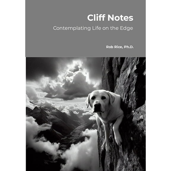 Cliff Notes: Considering Life's Meaning on the Edge, (Paperback)