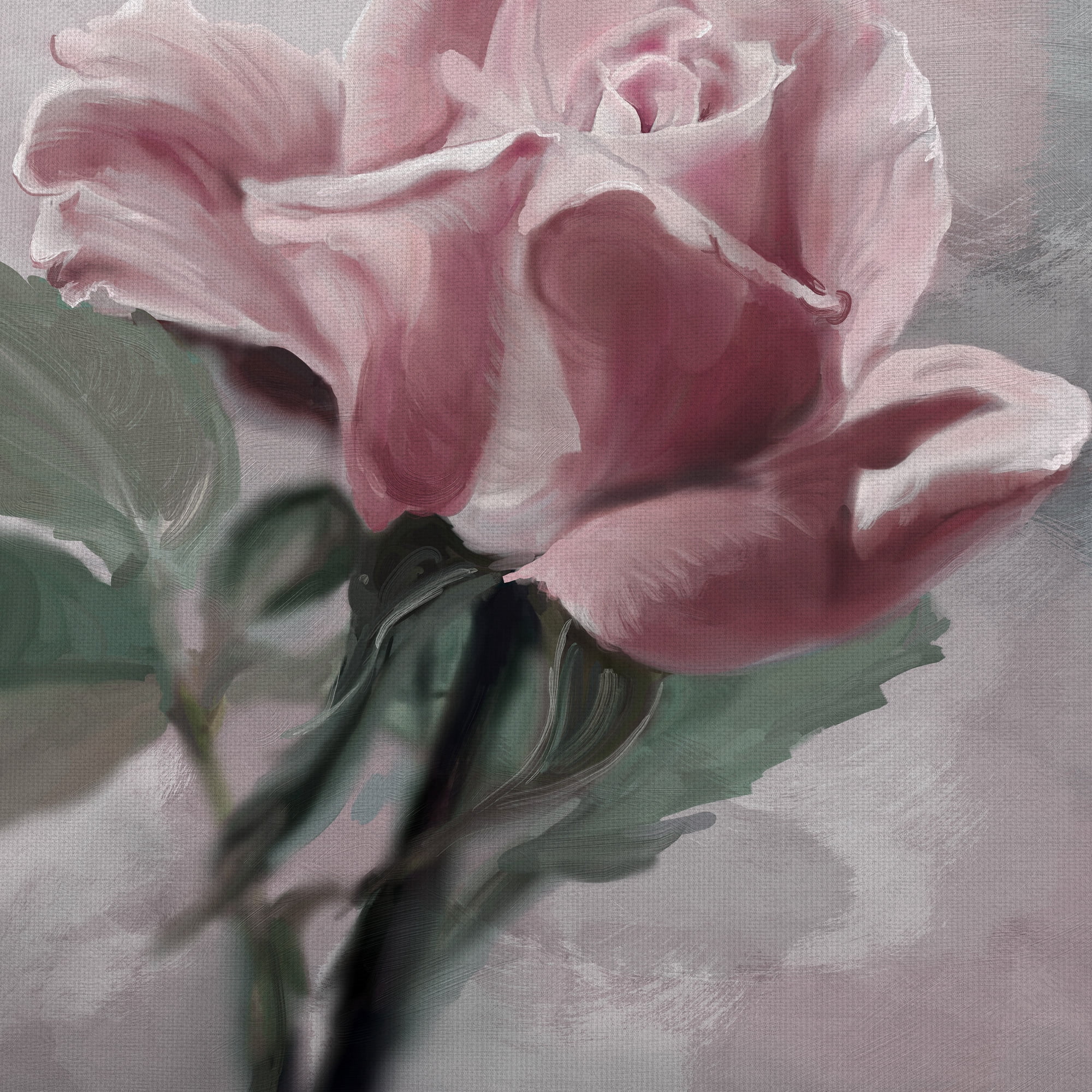 Masterpiece Art Gallery Rose Glow I & II Pink by Studio Arts Canvas Art Print Set of II 16" x 16"