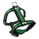 thumbnail image 2 of Pechera Para Perro Piel Autentica Talla Mediana 4 Ajustable, 2 of 6