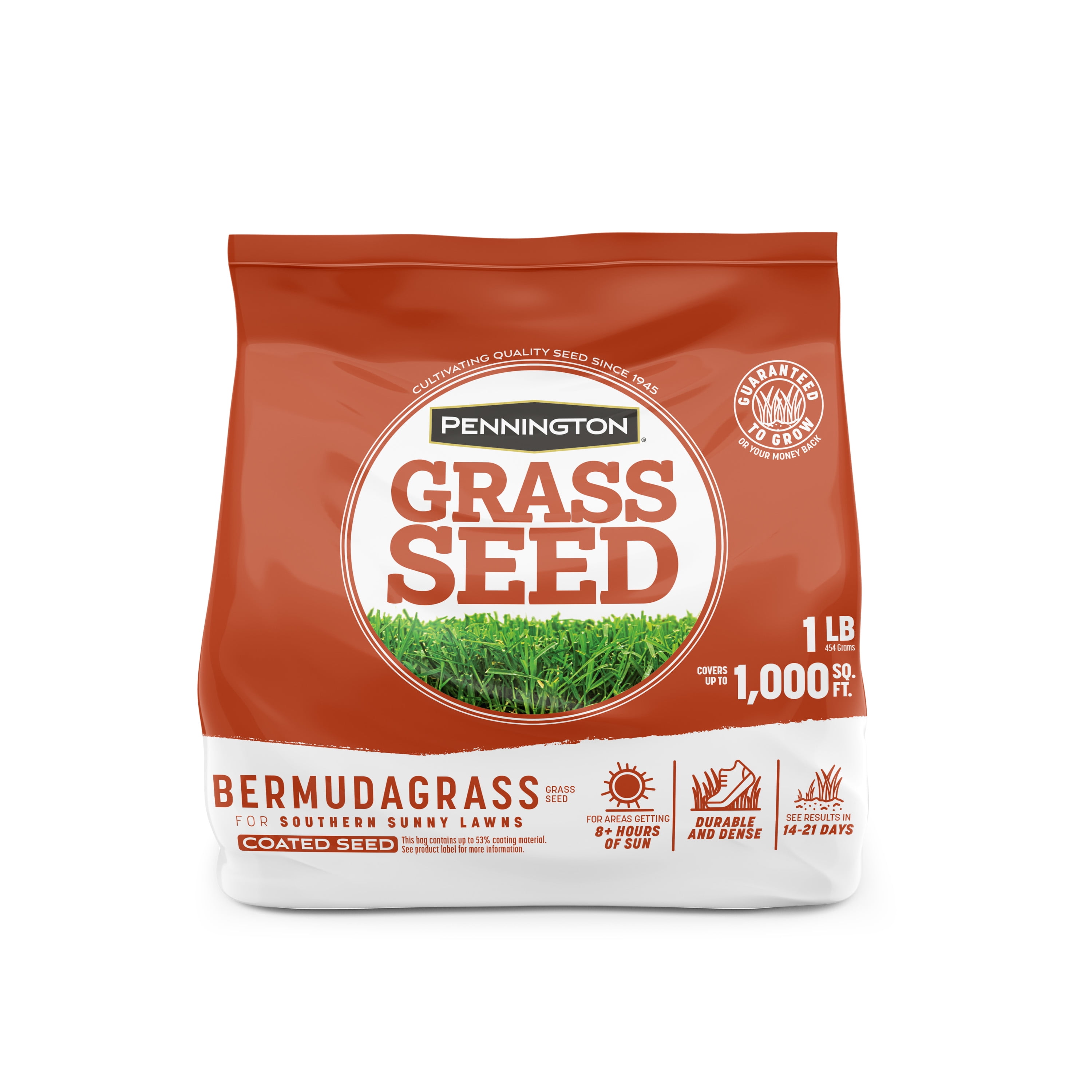 Pennington Sahara Bermudagrass Grass Seed, for Southern Lawns; 1 Pound