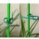 thumbnail image 3 of Soportes para plantas de tomate, bridas de plástico duraderas para invernaderos y árboles, soportes reutilizables para plantas de jardín para arbustos, paquete de 100, 3 of 5
