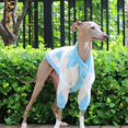 thumbnail image 4 of HQREA Fleece Greyhound Sweater, Warm Dog Cardigan Coat for Whippet Clothes, 4 of 6