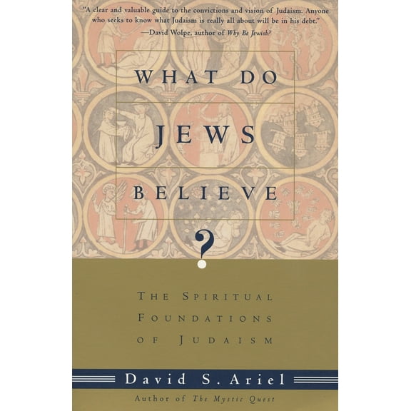 Pre-Owned What Do Jews Believe?: The Spiritual Foundations of Judaism (Paperback) 0805210598 9780805210590