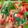 thumbnail image 4 of PinesC Plant Support Clips 1 and 1-3/4 Spring Steel Wire Vine Tomato, 4 of 5