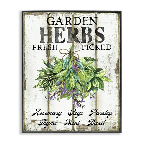 Stupell Industries Fresh Picked Garden Herbs Food & Beverage Painting Black Framed Art Print Wall Art, 11 x 14